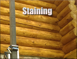  Star, North Carolina Log Home Staining